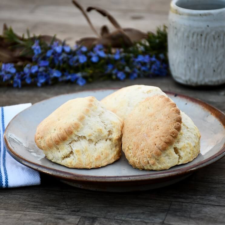 Brunch Collection with Harvest Trio - Frog Hollow Farms