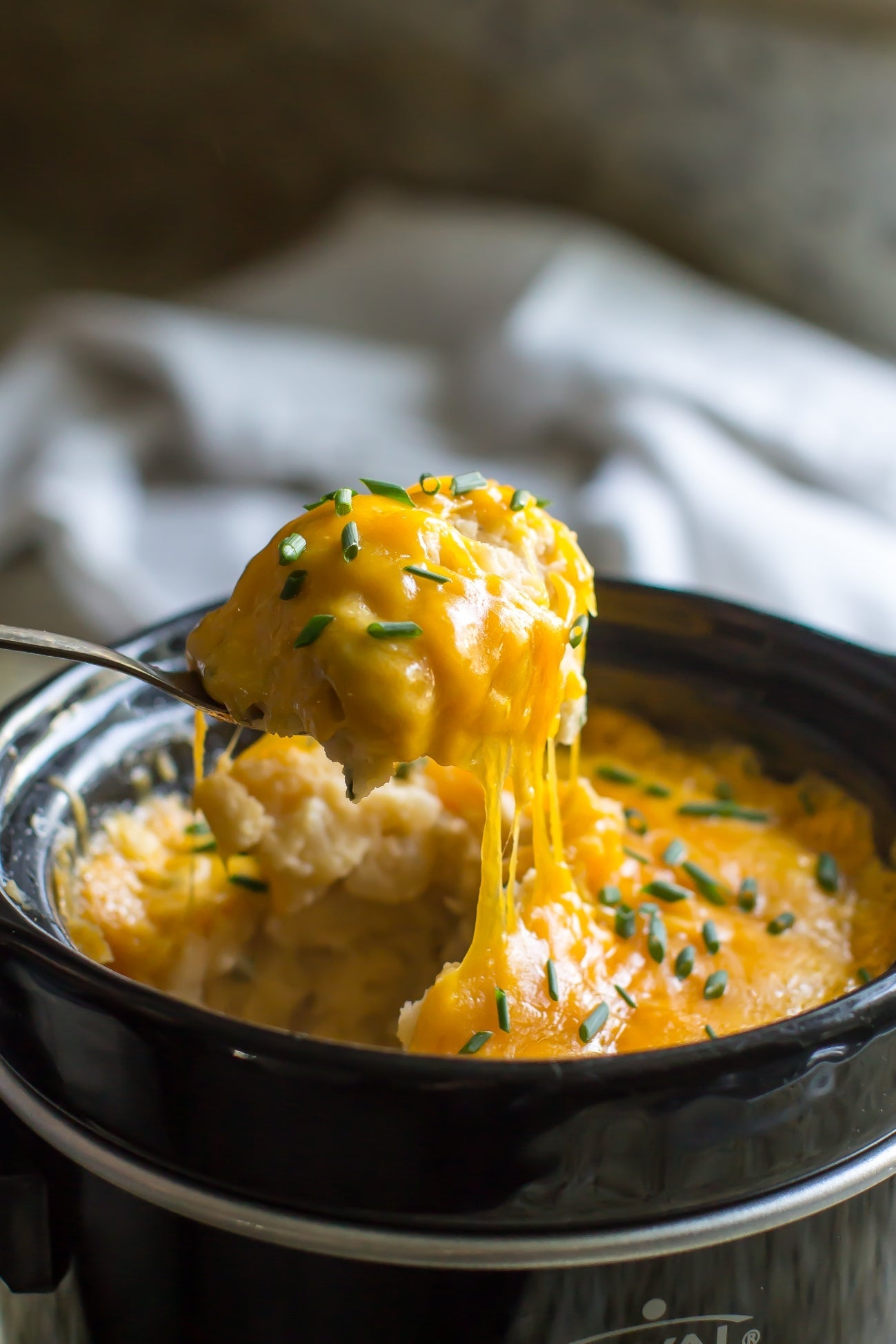 Pico De Queso Cheddar