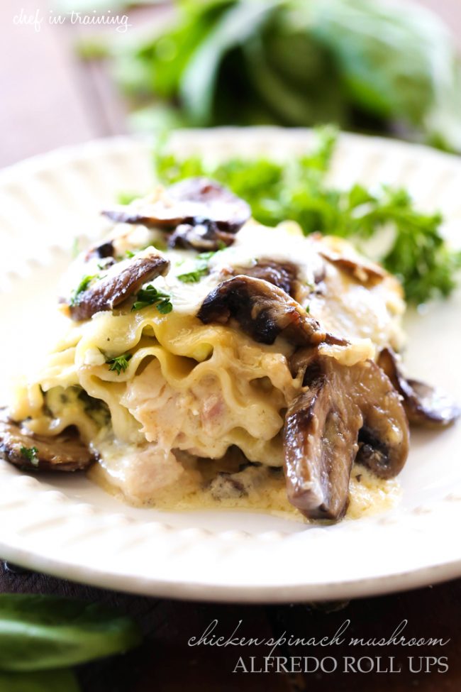 Chicken Spinach Mushroom Alfredo Roll Ups