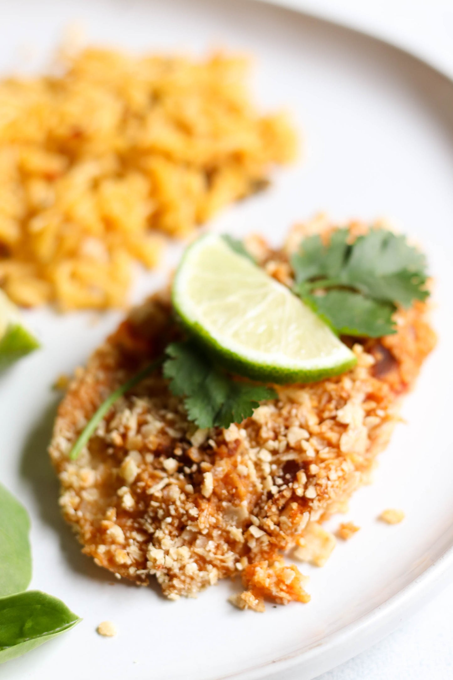 Tortilla Crusted Tilapia with Chipotle and Lime - 1 lb ea - Case of 10