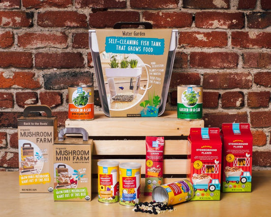 The Mason Jar Gift Set - Back to the Roots