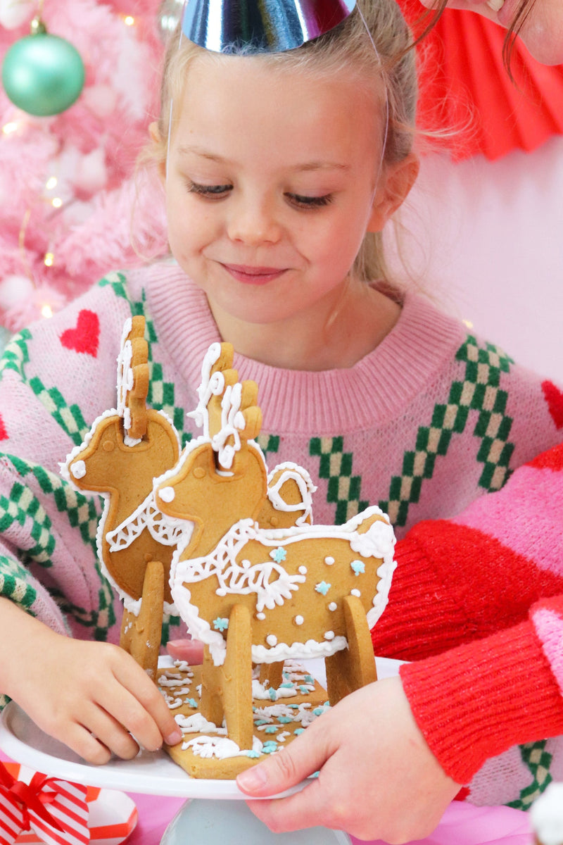 Enchanted Gingerbread Reindeer Decorating Kit