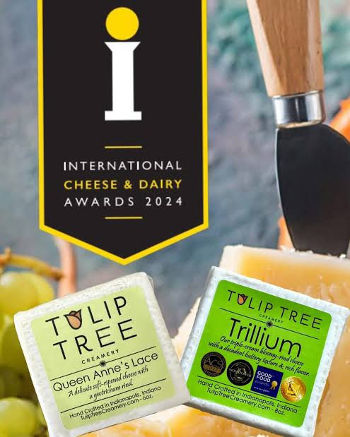 Two Tulip Tree Creamery cheese wedges labeled Queen Anne's Lace and Trillium, with a wooden-handled cheese knife and a large black award badge reading International Cheese & Dairy Awards 2024 in the background.
