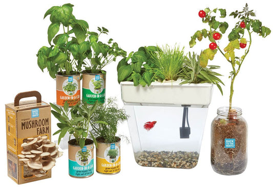 The Urban Homesteader Gift Set - Back to the Roots