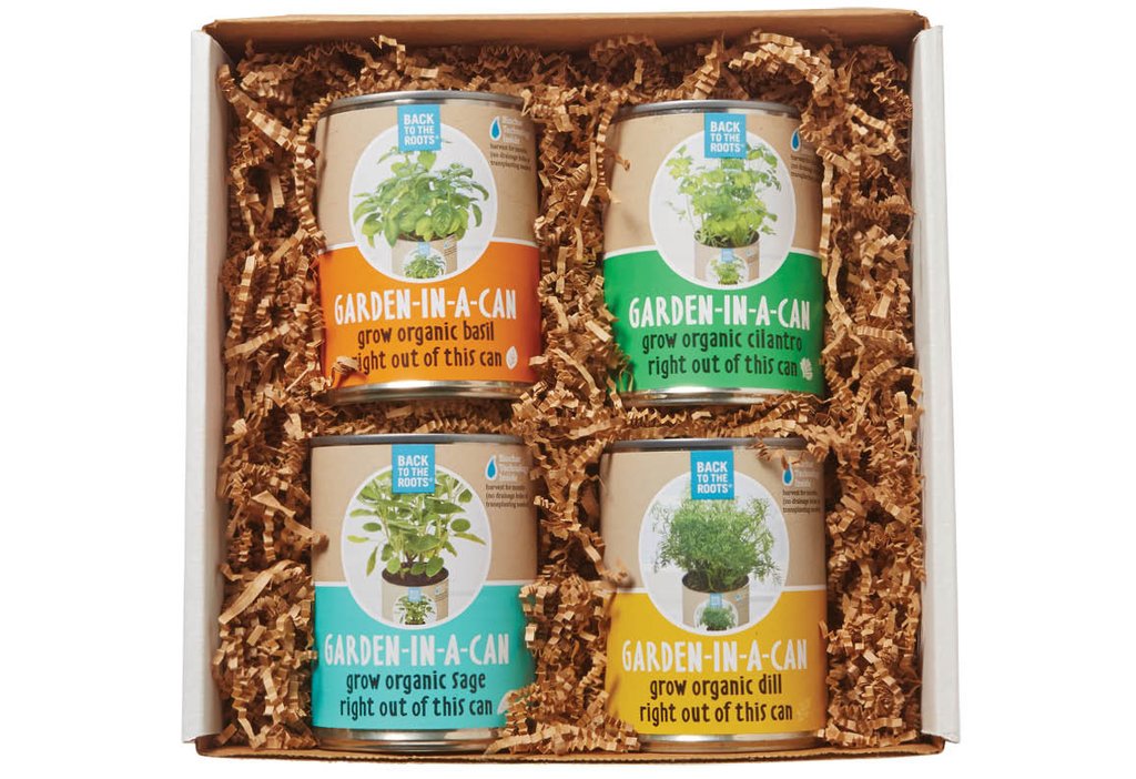 Garden in a Can Set (4-pack) - Basil, Cilantro, Sage & Dill