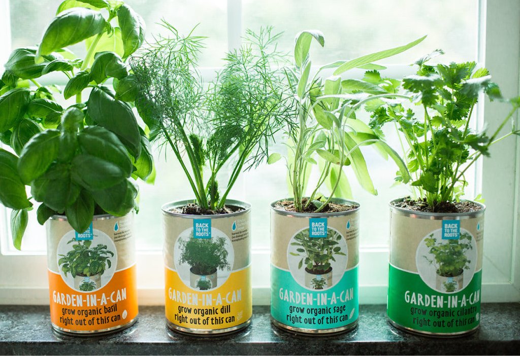 Garden in a Can Set (4-pack) - Basil, Cilantro, Sage & Dill
