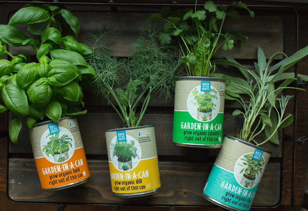 Garden in a Can Set (4-pack) - Basil, Cilantro, Sage & Dill