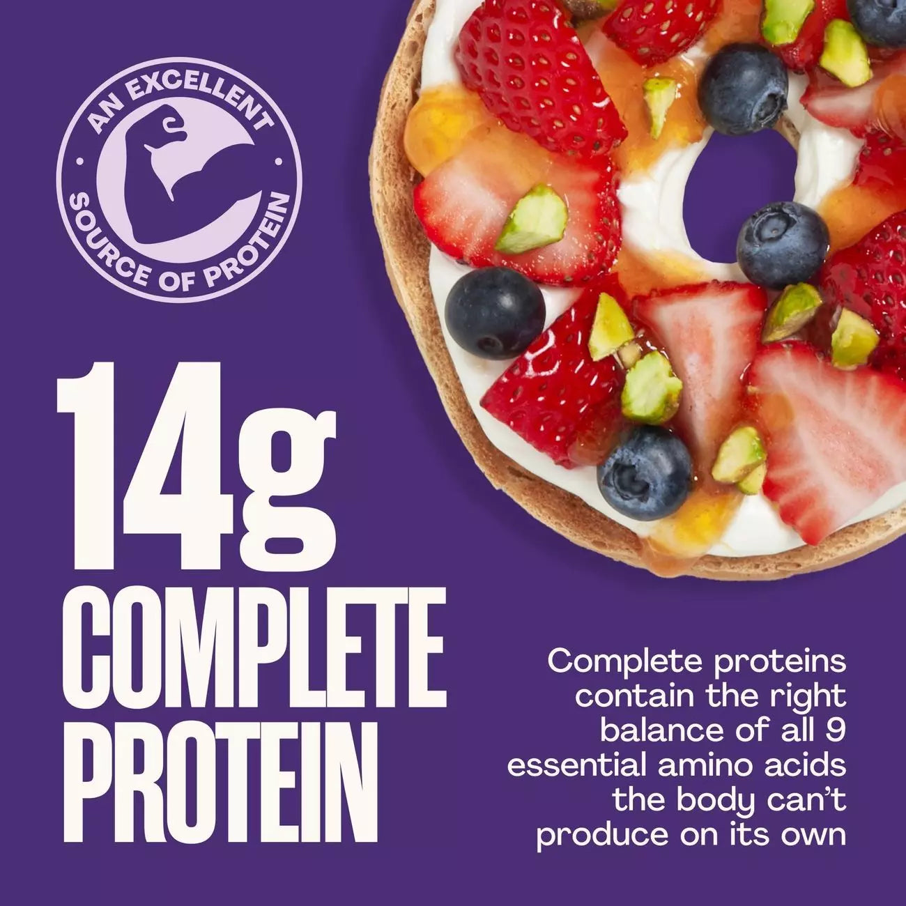 SOLA Low Carb Bagels Bestsellers Pack of 3 - (Blueberry + Everything + Cinnamon Raisin)