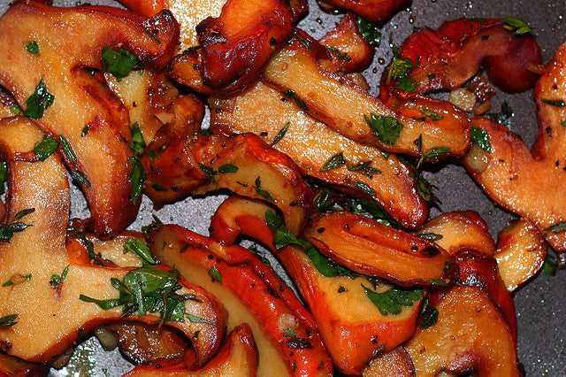 Fresh Lobster Mushrooms – Wild Foraged
