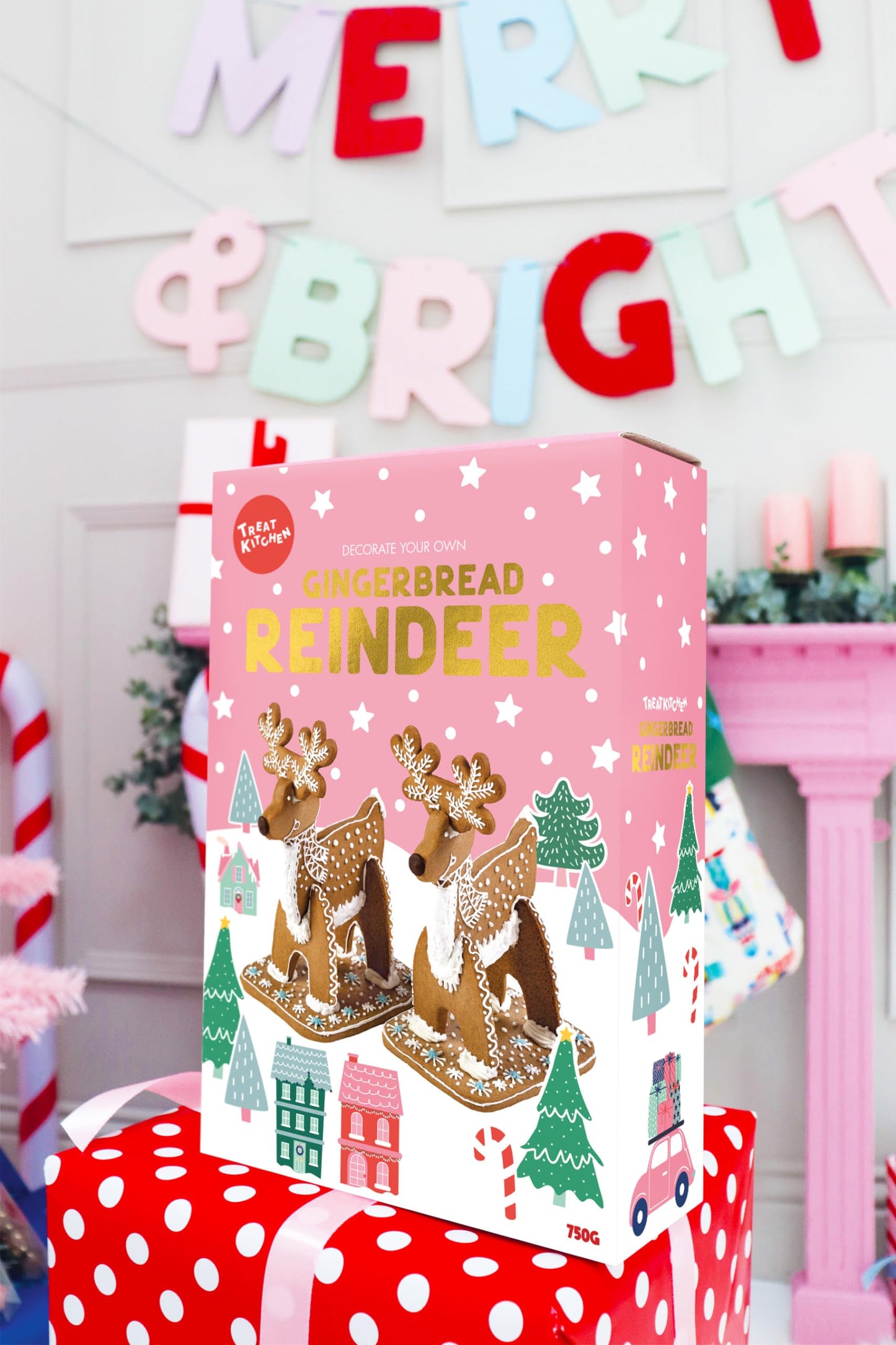 Enchanted Gingerbread Reindeer Decorating Kit