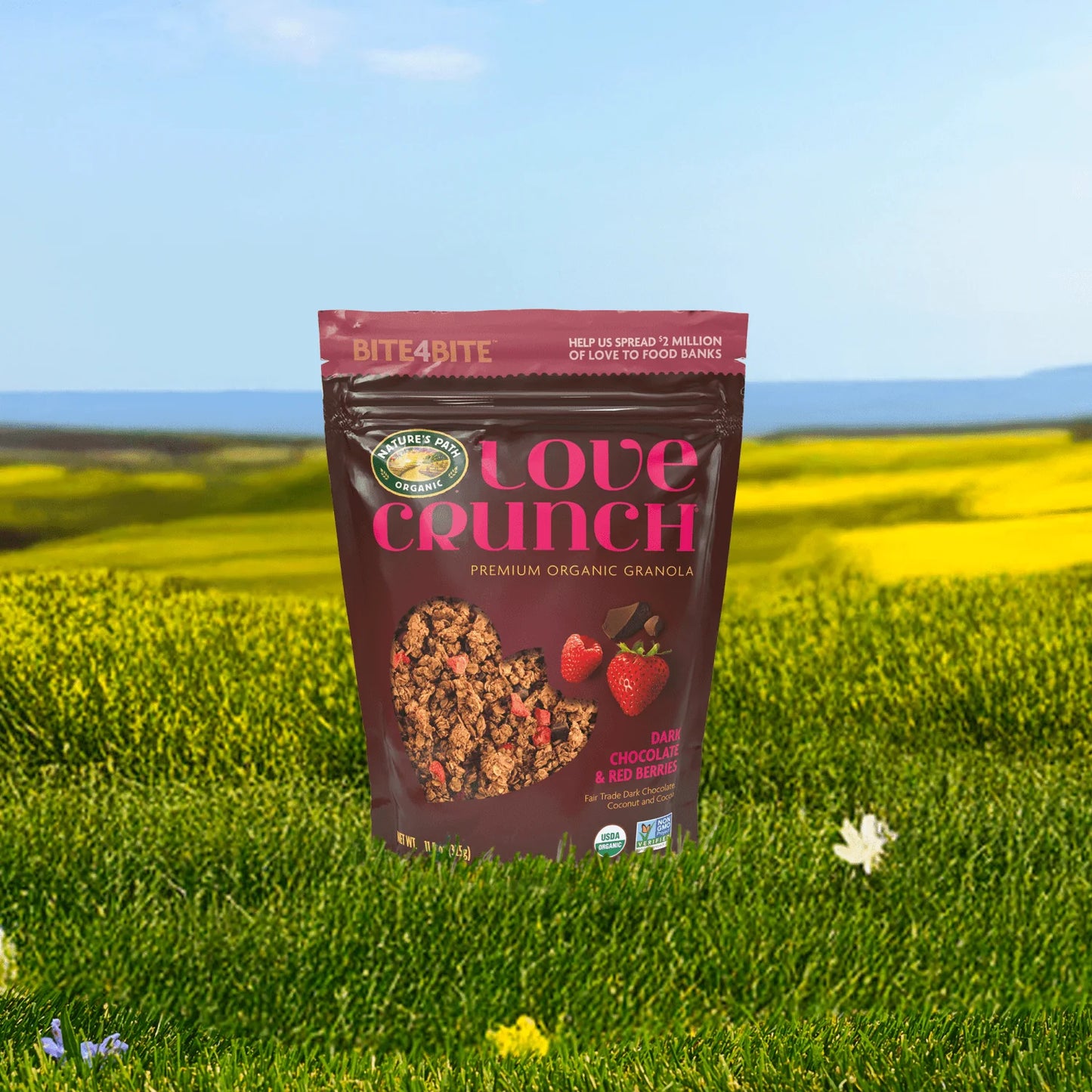 Love Crunch Organic Dark Chocolate & Red Berries Granola, Non-GMO, Fair Trade - Pack of 3