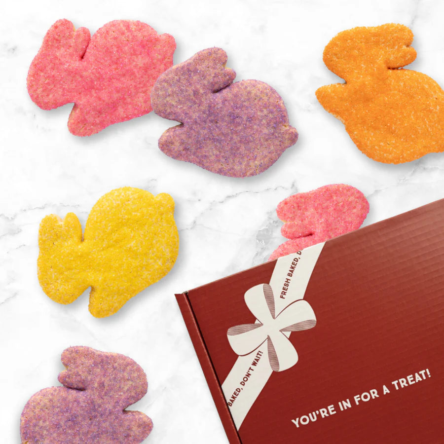 Bunny Sugar Cookie Decorating Kit