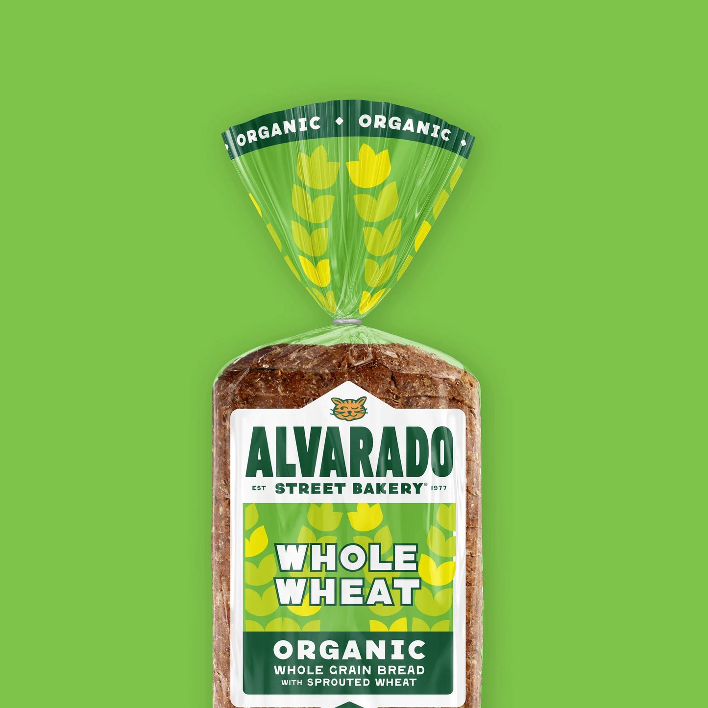 Alvarado Street Bakery Organic Sprouted Whole Wheat, No Salt Added Bread - 6/Case