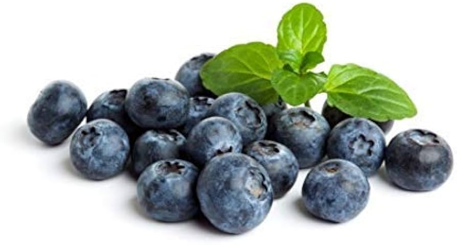 Fresh Frozen Organic Blueberries