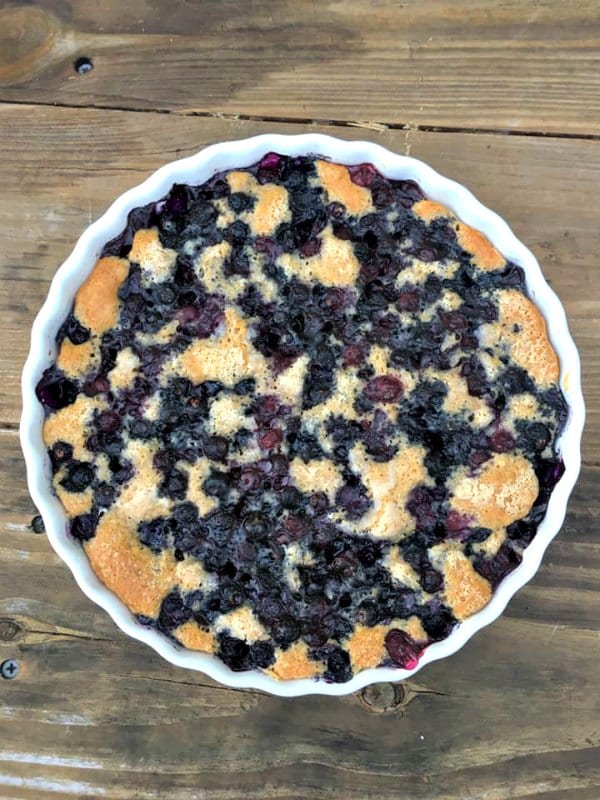 Fresh Frozen Organic Wild Blueberries