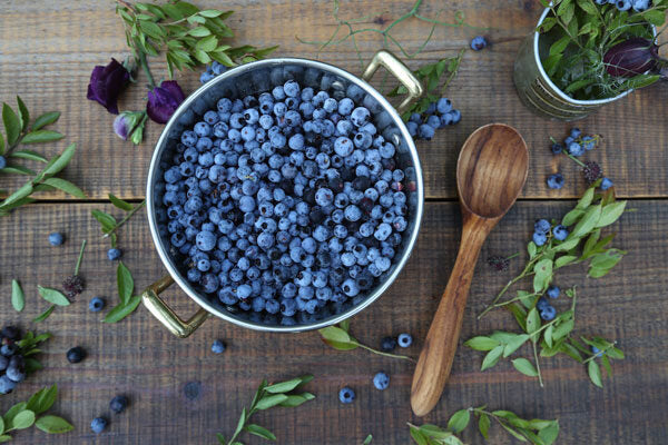 Fresh Frozen Organic Wild Blueberries