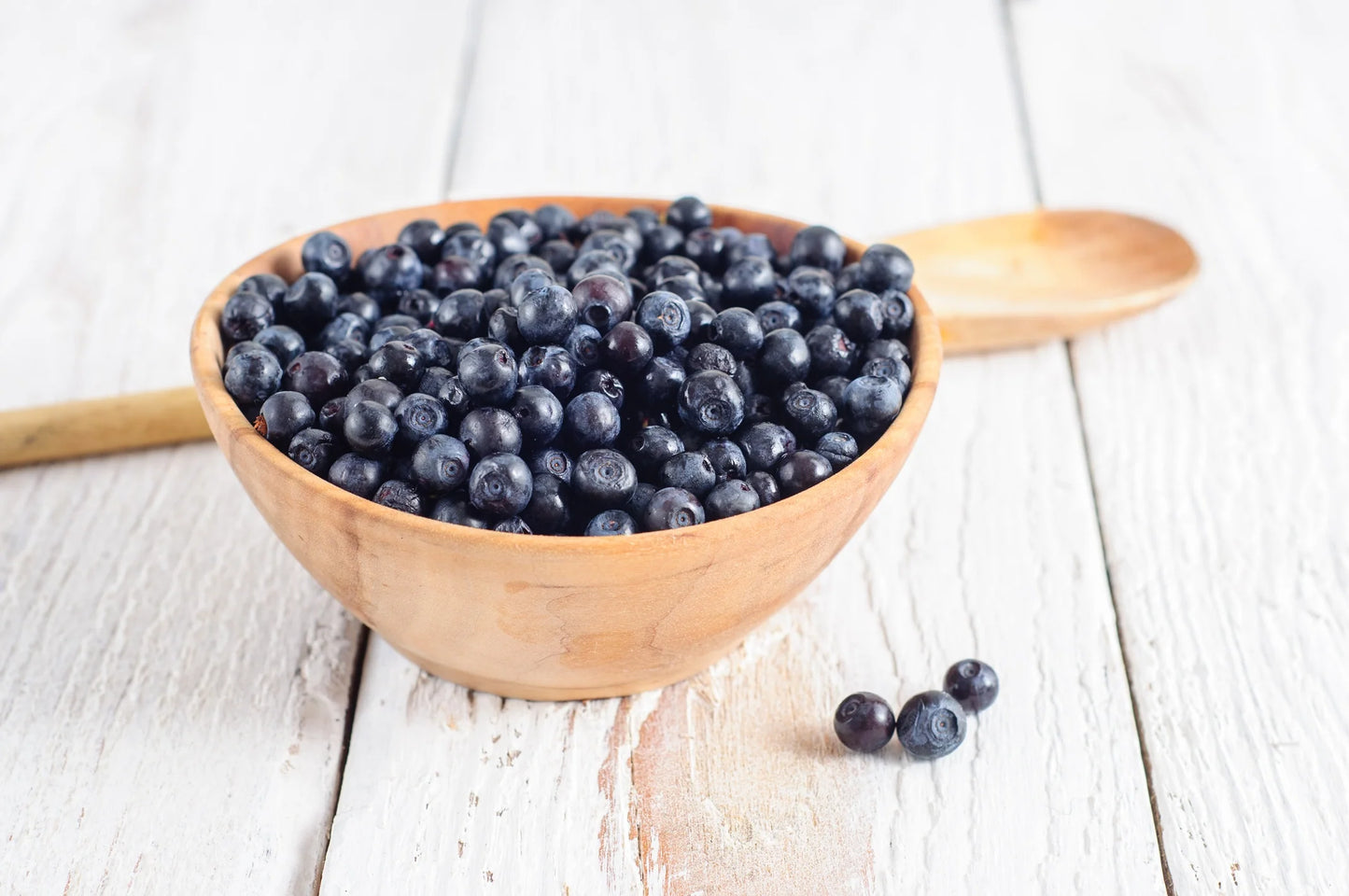 Fresh Frozen Organic Wild Blueberries