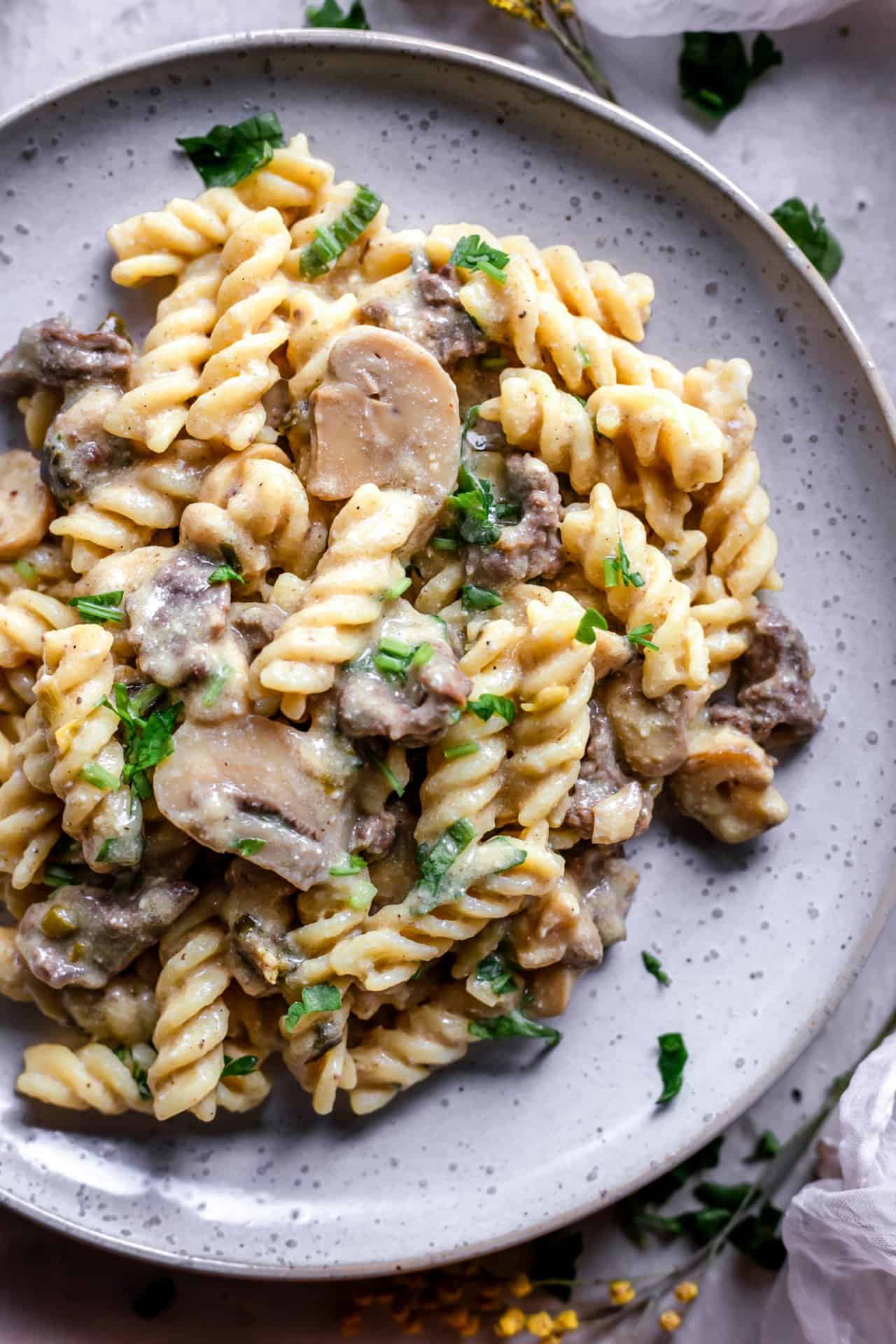 Savory Stroganoff Meal Kit w/Italian Herb Pasta