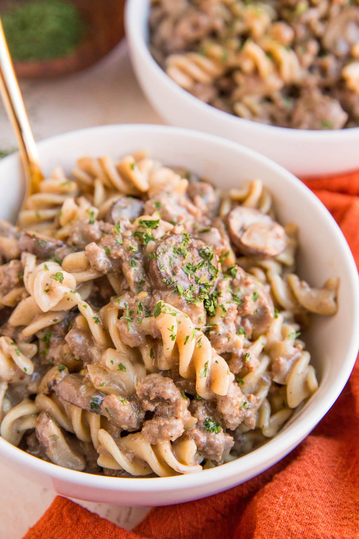 Savory Stroganoff Meal Kit w/Italian Herb Pasta