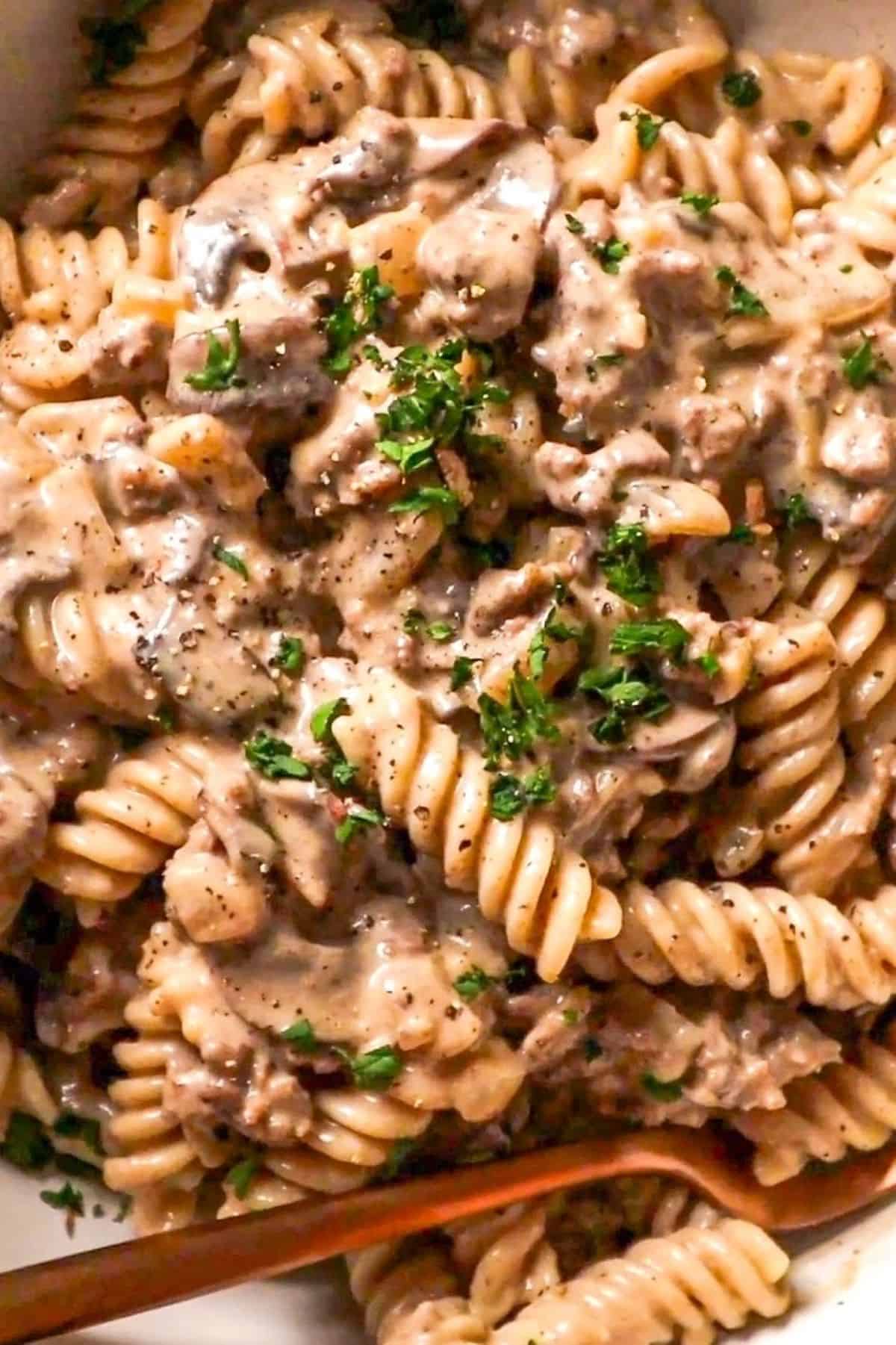 Savory Stroganoff Meal Kit w/Italian Herb Pasta