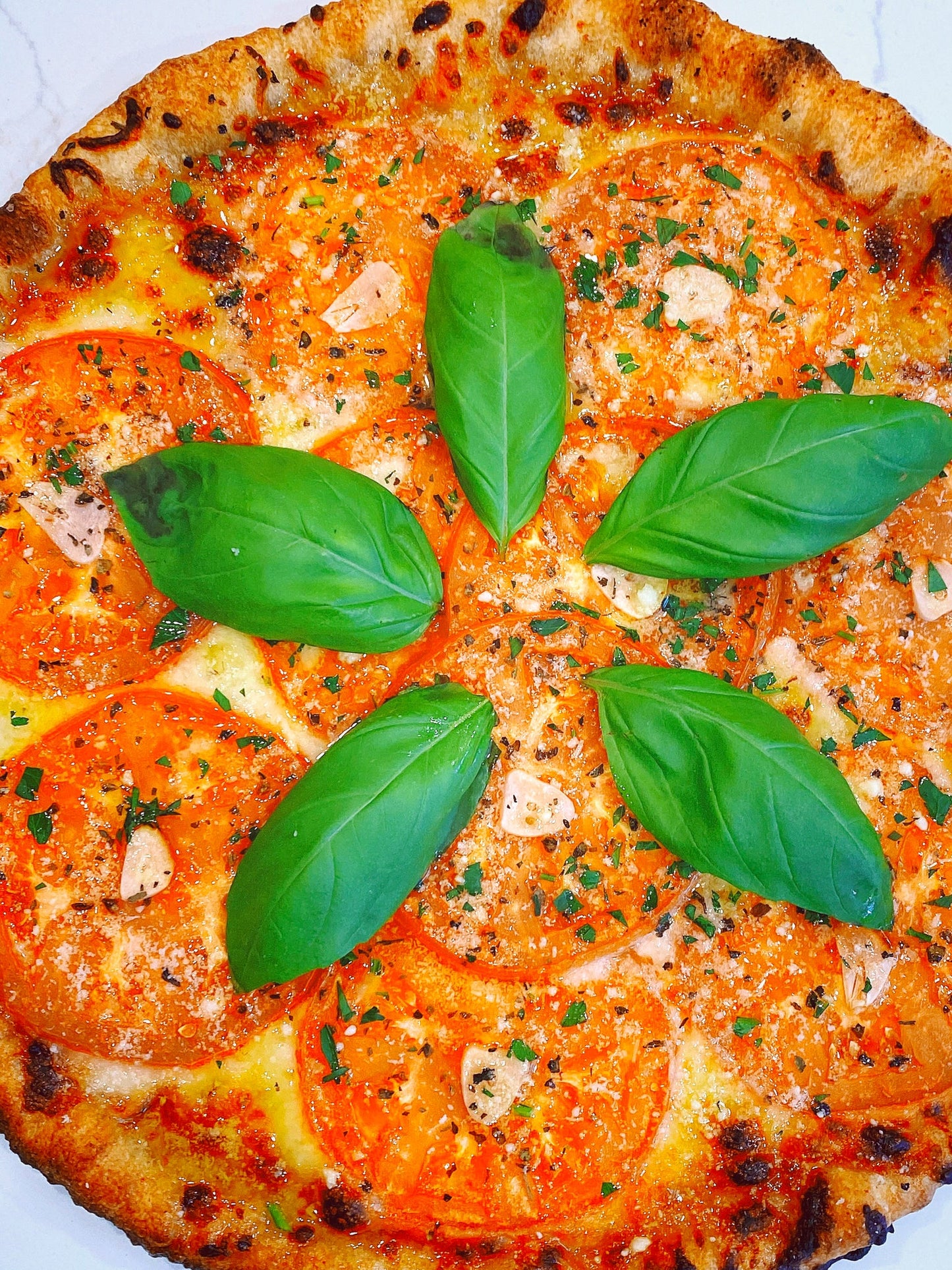 Nudo Organic Gluten Free Fresh Pizza Dough