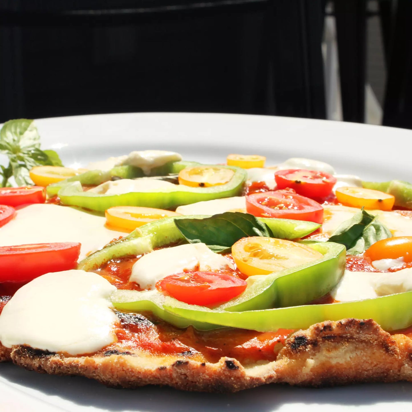 Gluten Free Pizza Dough Balls, Wholly Wholesome