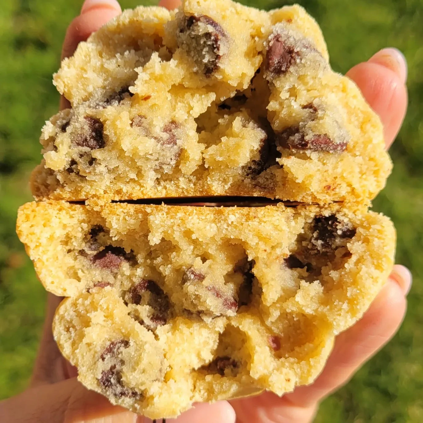 Little Fatties – Gluten Friendly Chocolate Chip Cookies (2-Pack)