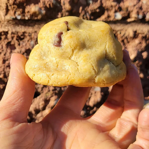 Little Fatties – Gluten Friendly Chocolate Chip Cookies (2-Pack)