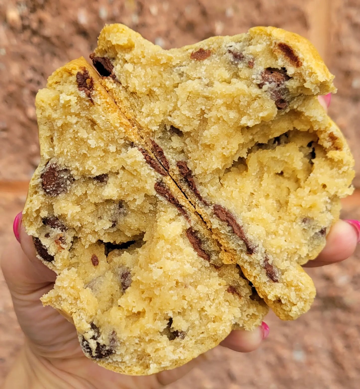 Little Fatties – Gluten Friendly Chocolate Chip Cookies (2-Pack)