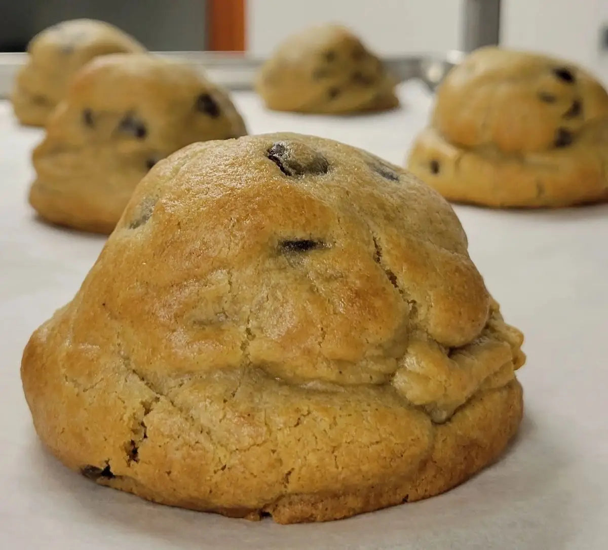 Little Fatties – Gluten Friendly Chocolate Chip Cookies (2-Pack)