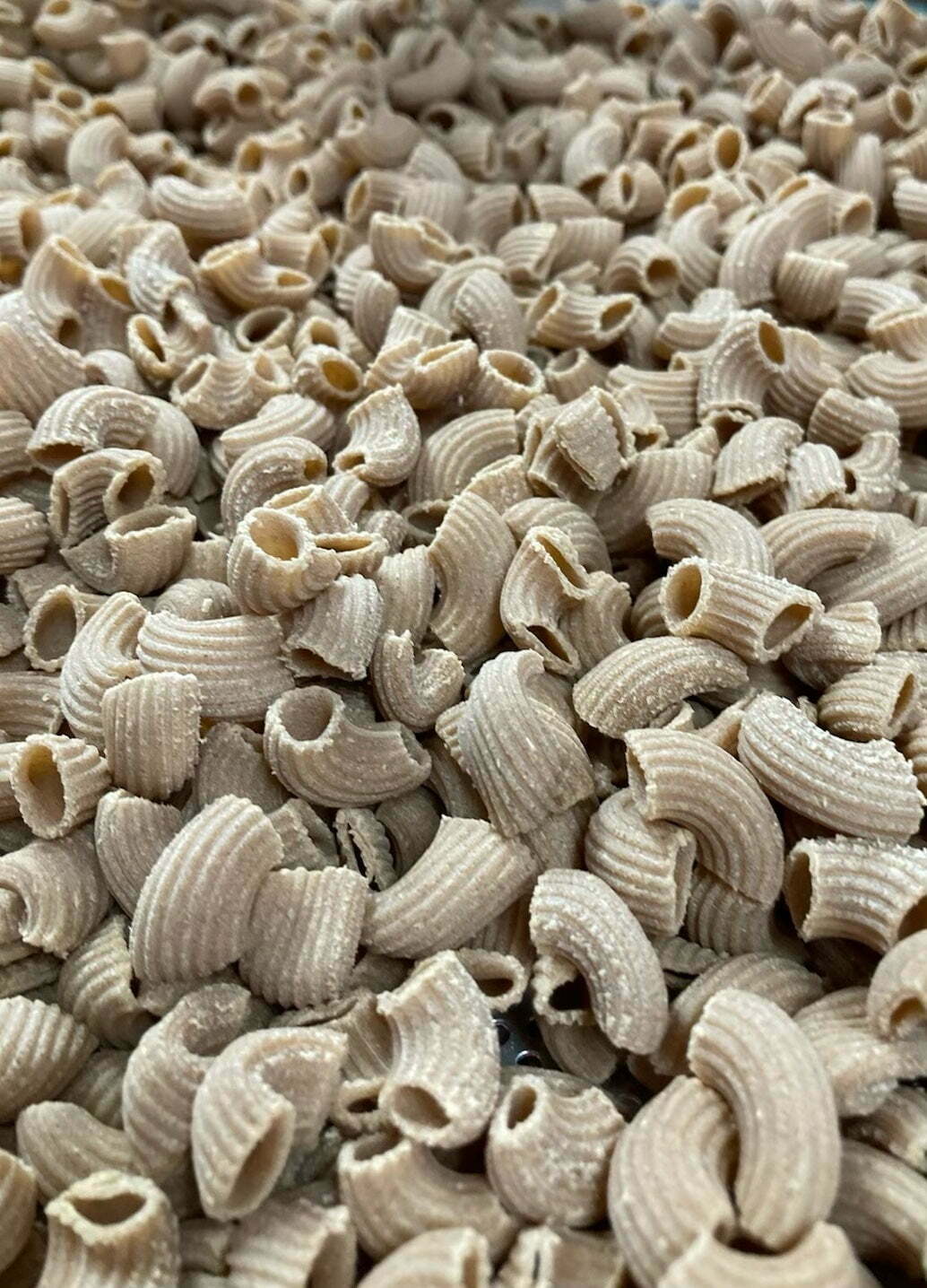 Sprouted Spelt Sourdough Macaroni Elbow Pasta