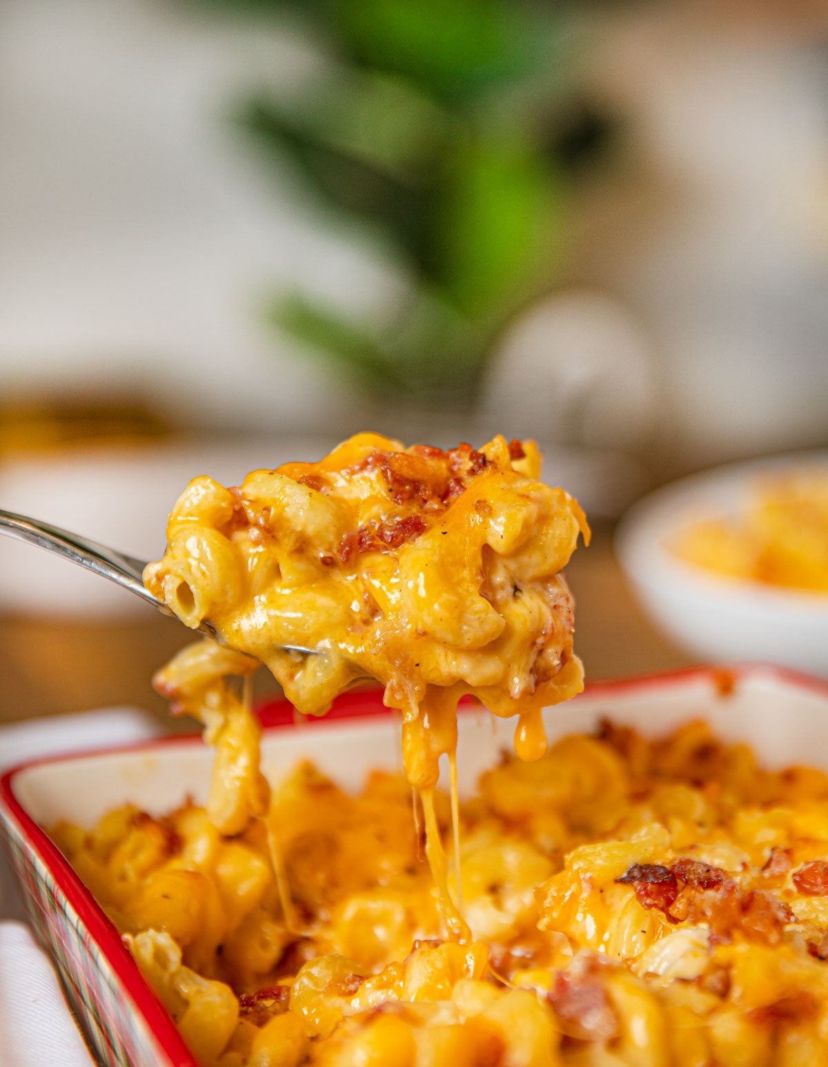 Sprouted Spelt Sourdough Macaroni Elbow Pasta