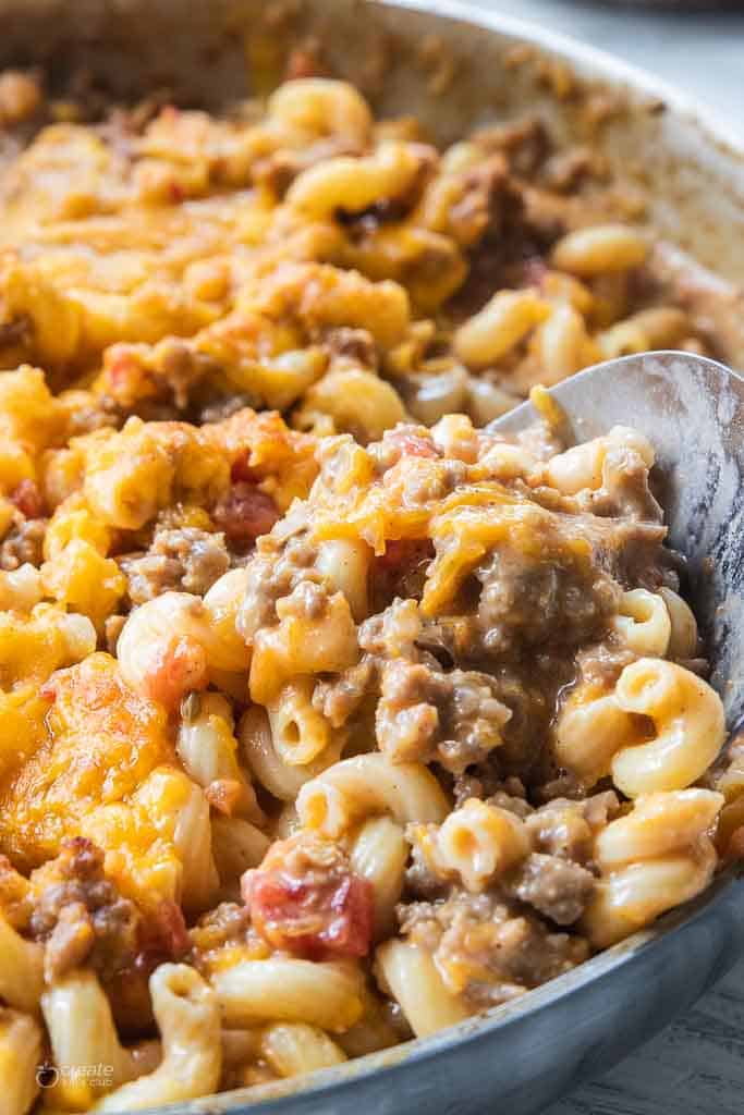 Sprouted Spelt Sourdough Macaroni Elbow Pasta
