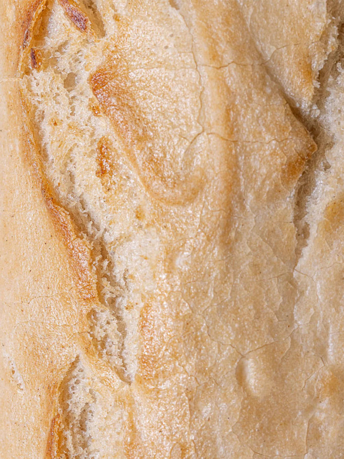 Gluten-Free Sourdough Bread, 2 XL Loaves