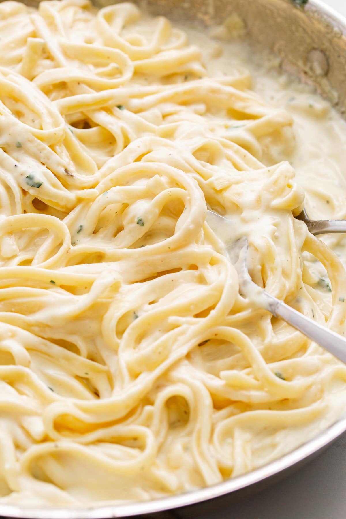 SACLA Roman Recipe Alfredo White Pasta Sauce - 410g (14.5oz)
