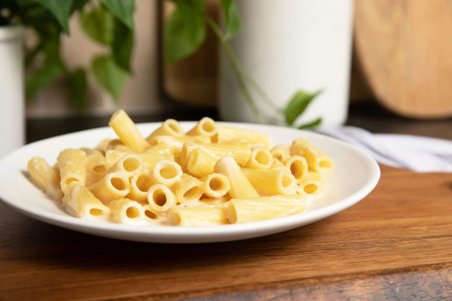 Bravo Bravissimo Maccheroni Italian Pasta Noodles, Comes in Alfredo Sauce Flavor, All-In-One Italian Pasta Meal, Sauce, Plate, Fork, Microwavable Meals, GMO Free - Pack of 6