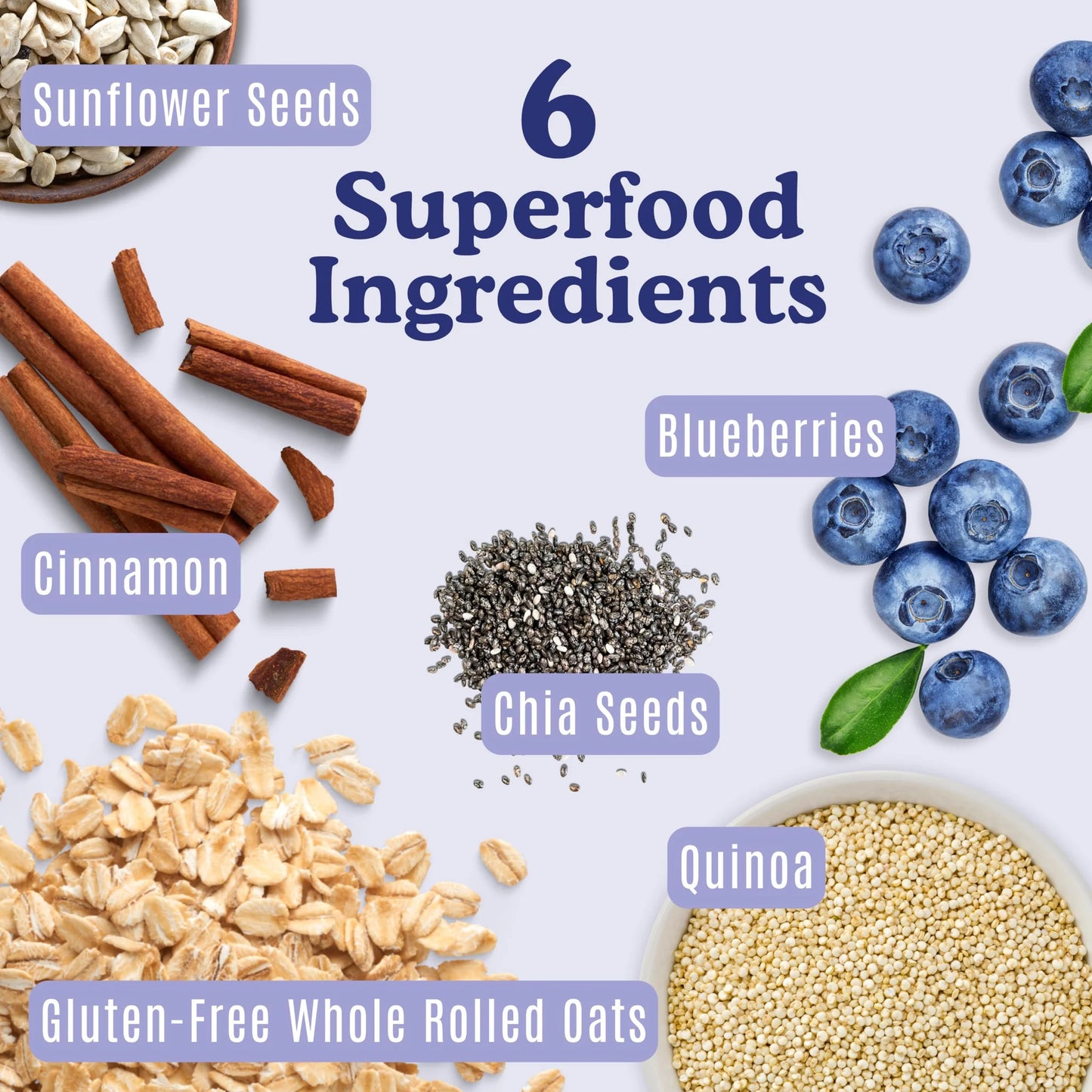 Earnest Eats Superfood Oatmeal Cups – 7g Plant Protein, Gluten Free, Vegan - Variety Pack of 8