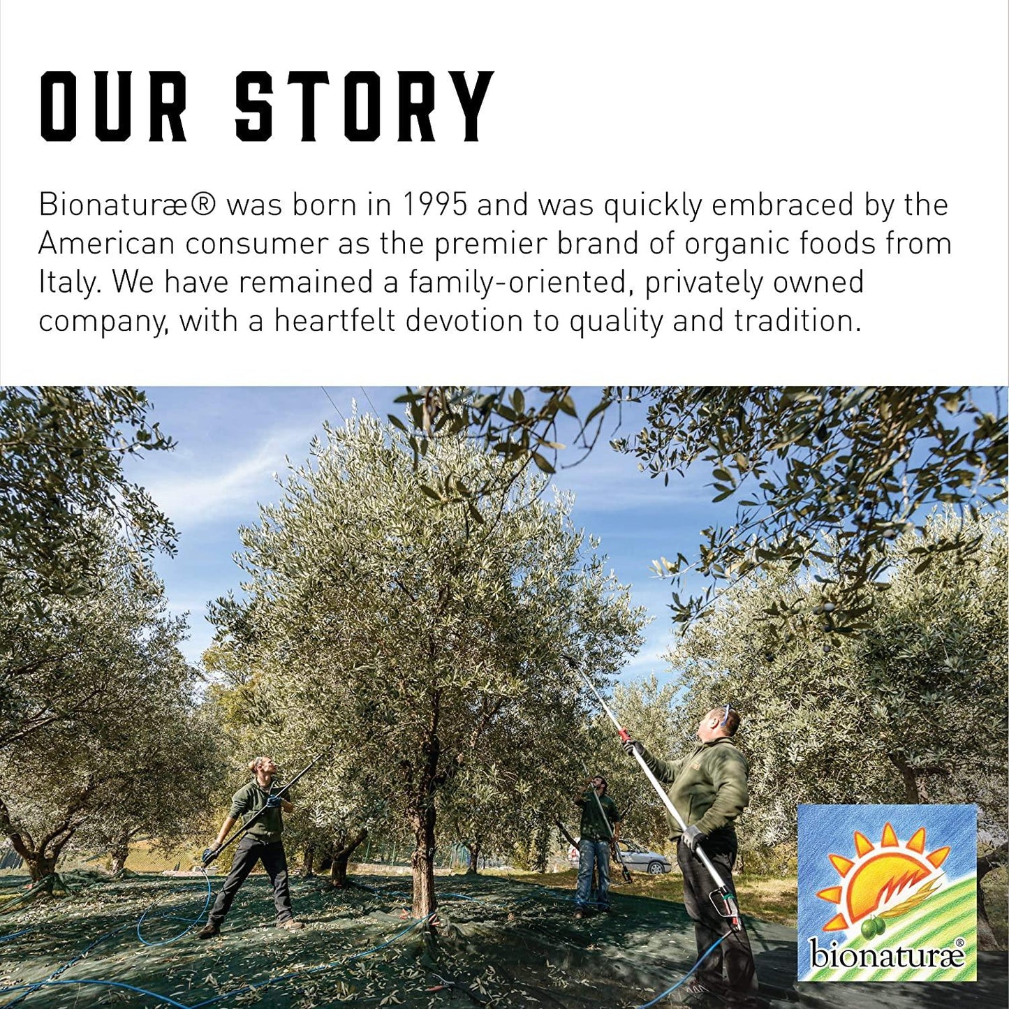 Bionaturae Organic Bilberry Fruit Spread -  No Sugar Added, No Preservatives