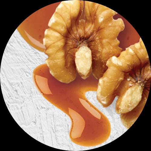 Elmhurst 1925 Barista Edition Variety Pack – 32 oz - Pack of 6 - Plant-Based Milk, Vegan, Dairy-Free, Kosher, Gluten-Free, Non-GMO