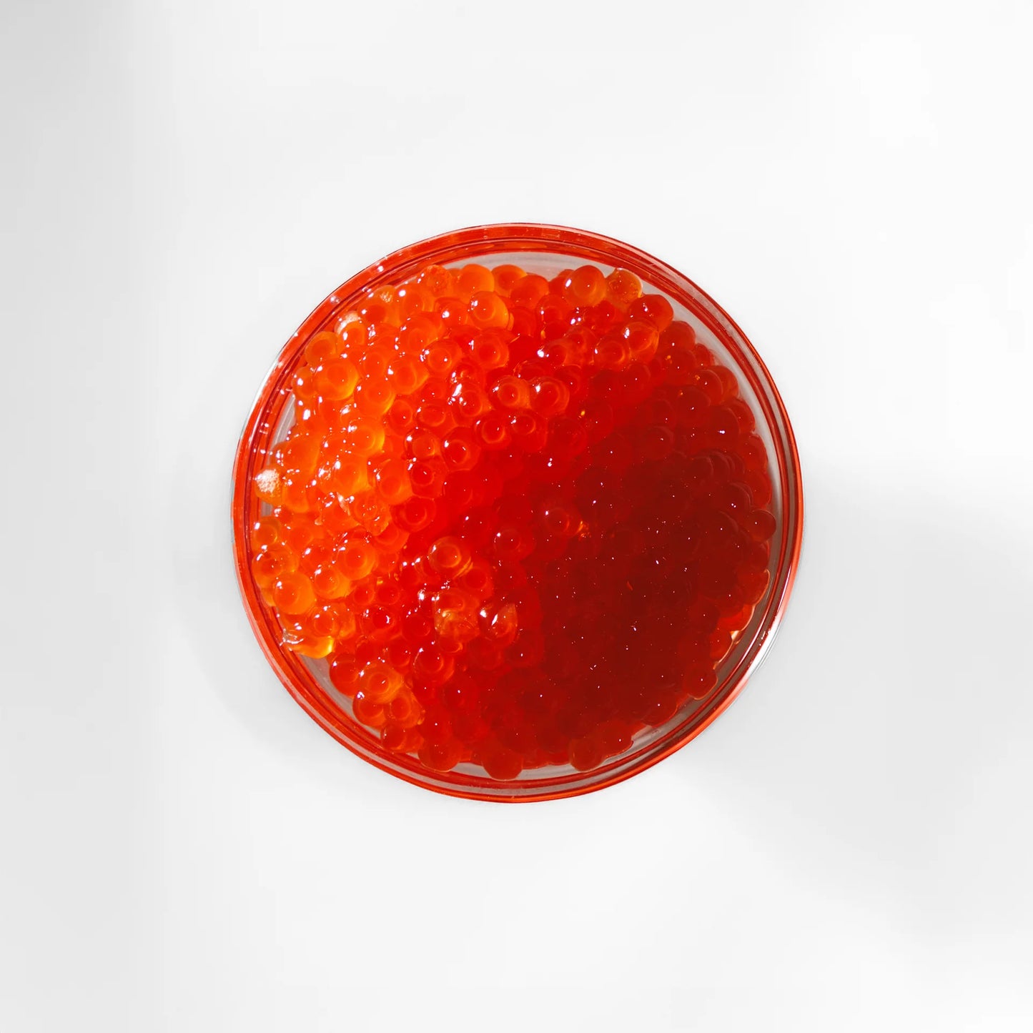 Gourmet Salmon Wellington Dinner Collection