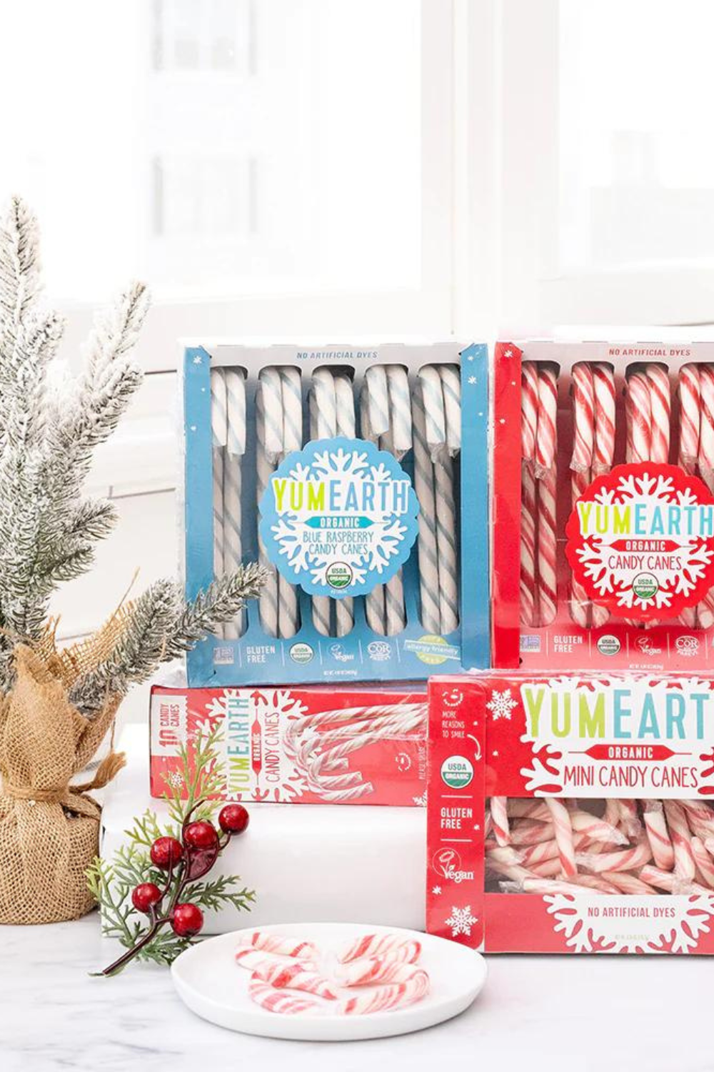 YumEarth Organic Candy Canes - Individually Wrapped Full Size Blue Raspberry Candy Canes - Dye Free, Allergy Friendly, Non GMO, Gluten Free, Vegan - Pack of 2