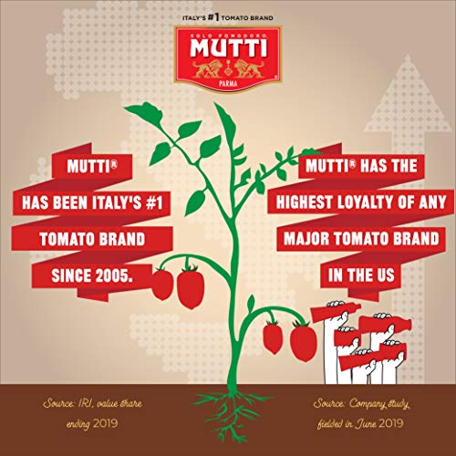 Mutti Double Concentrated Tomato Paste (Doppio Concentrato), 4.5 oz Tube - Pack of 4