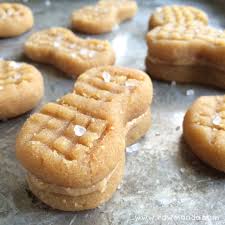 Walnut Butter Squeeze Packs (10/1.06 oz pkts)