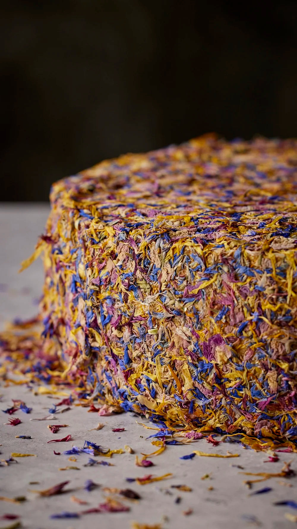 Alp Blossom Cheese, Hofkaserei Kraus - 1 lb