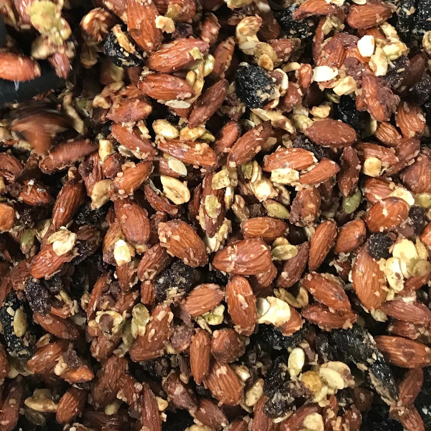 SWEET & SALTY SPROUTED TRAIL BLAZERS NUT & SEED MIX - 2 Pack - Gluten Free, Grain Free