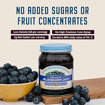 Nature's Hollow Blueberry Jam: Sugar Free Jam and Preserves, Low Cal, Non GMO, Keto Jam, Vegan, Gluten Free, and Diabetic Friendly - Sugar Free Jelly - Pack of 3