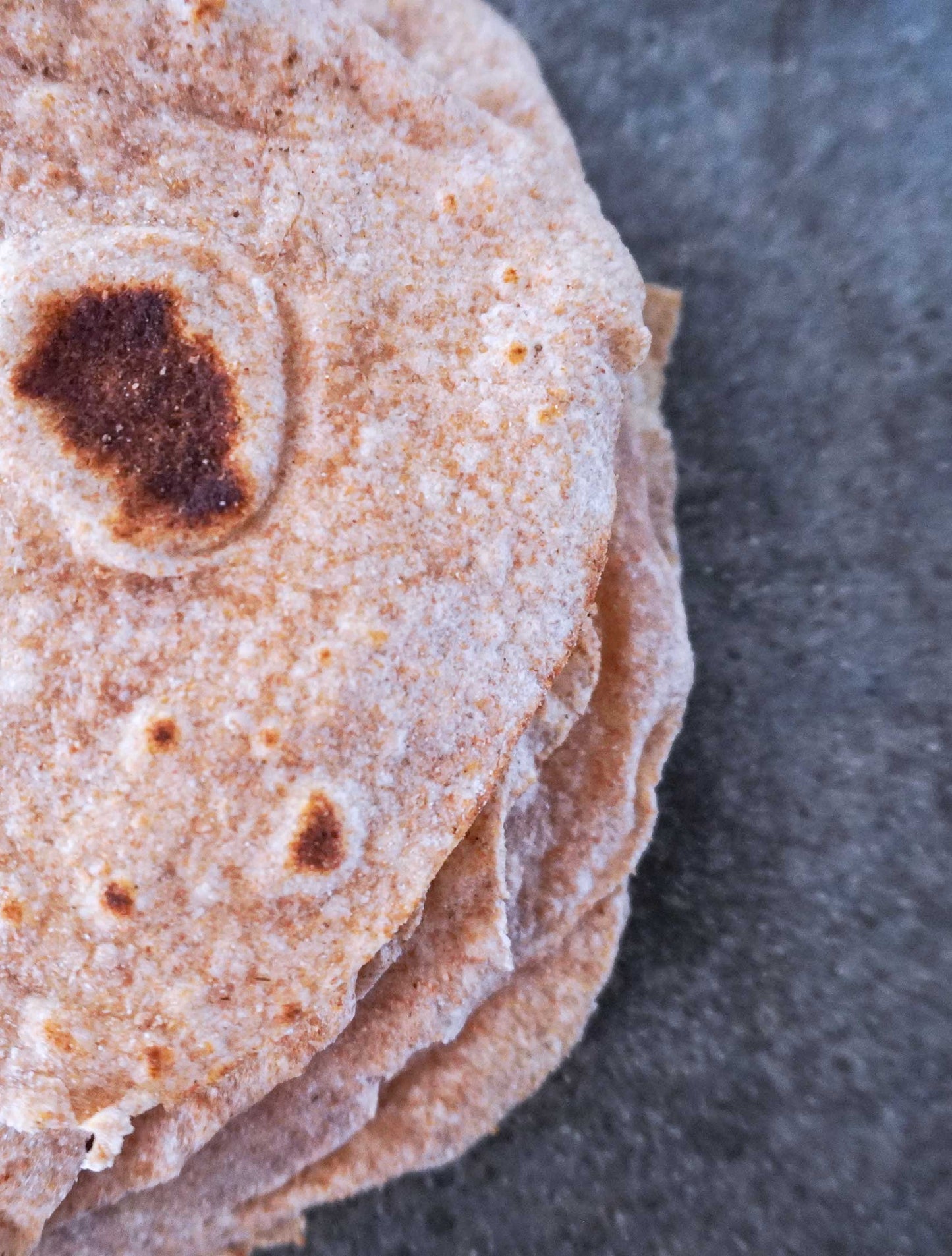 Sprouted Sourdough Tortillas, 8" - Pack of 2