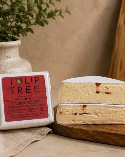 A wheel and sliced wedge of Tulip Tree Creamery Snapdragon cheese displayed on a wooden board, with a textured vase and greenery in the background.