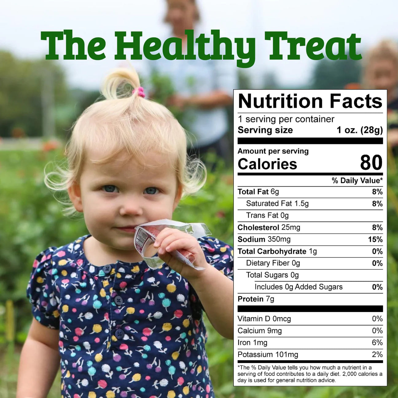 Sogo 100% Free Range Turkey Chimichurri Meat Sticks - No Sugar, Gluten Free, No Nitrates, MSG Free, 1 oz - Pack of 24