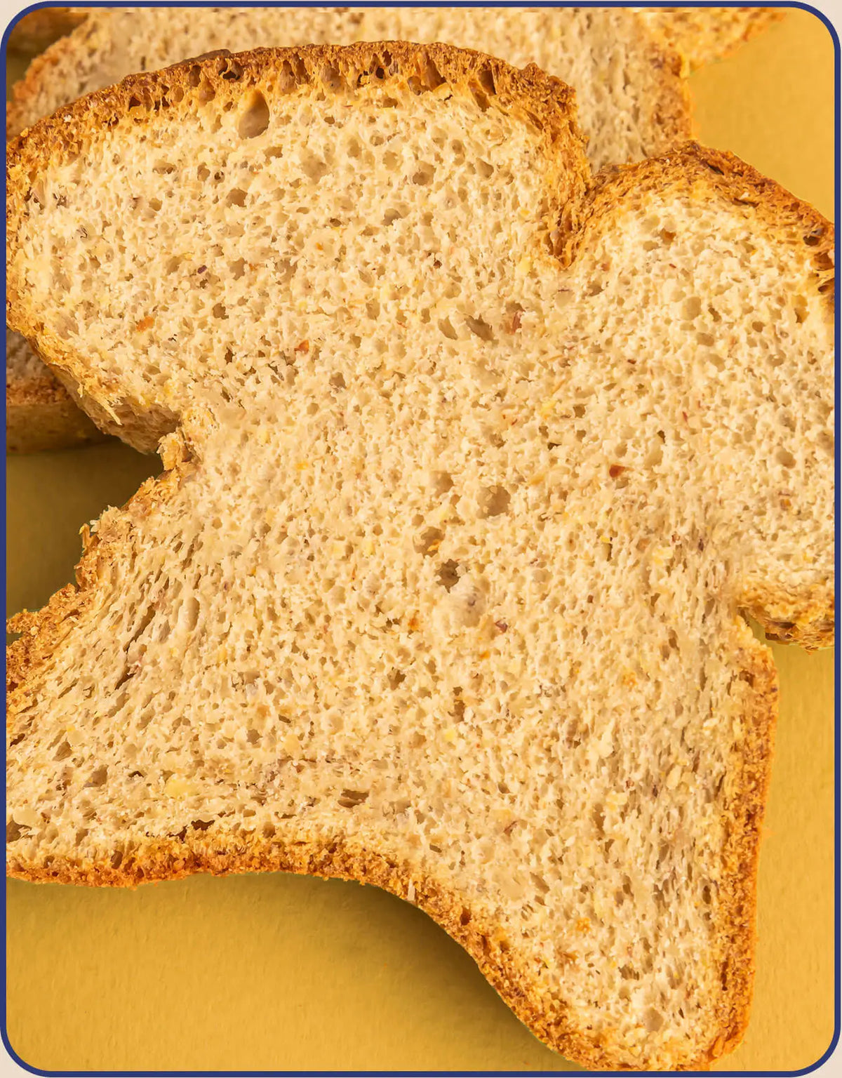 Base Culture Gluten Free Simply Honey Nut Paleo Bread - 2 Pack